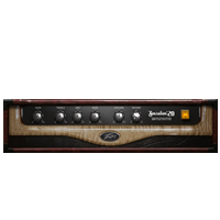 09 Peavey Sensation 20