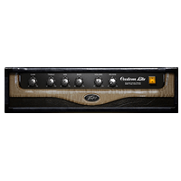 14 Peavey Custom Lite 20